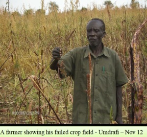 Farmer with failed crop